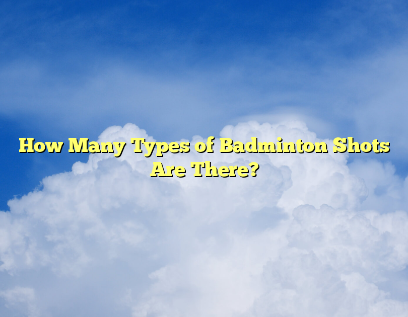 How Many Types Of Badminton Shots Are There?